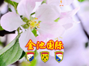 عٶ¾ʿ 7D