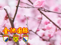 ع赸ǡǡ 8A