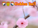 Golden Int'l L. Rumba Lesson9-3