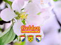 Golden Int'l K.N.Jazz Lesson 7D